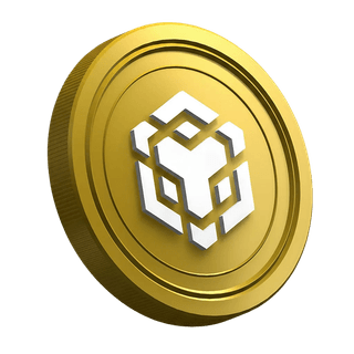 Moneda de la criptomoneda Binance BNB mostrada en la página de guía para nuevos traders
